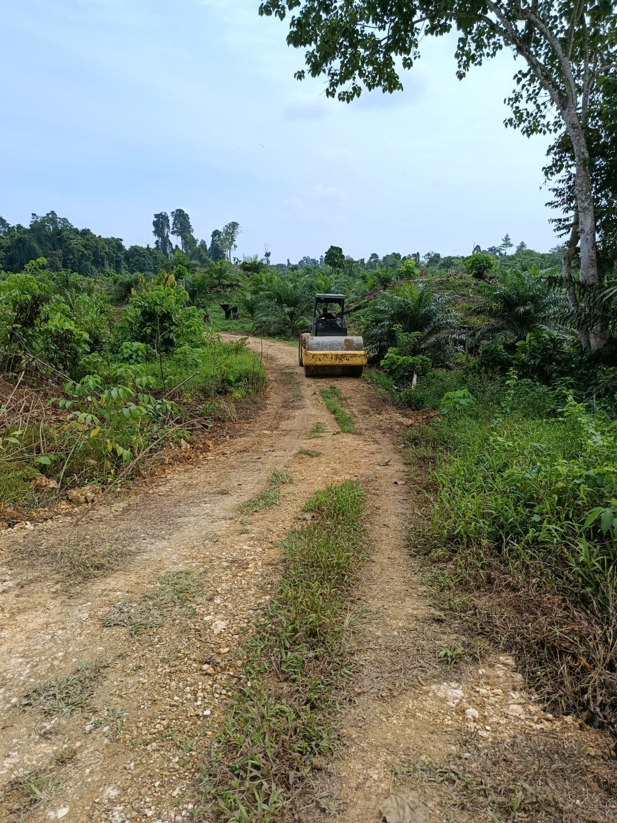 8e472a14-3fcd-4109-afc1-ba5496b0b225